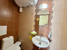Мініатюра
