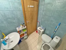 Мініатюра