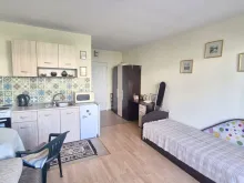 Мініатюра