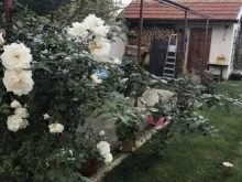 Мініатюра