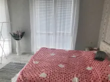 Мініатюра