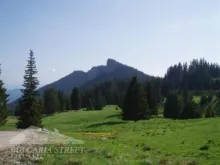 Мініатюра