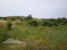 Мініатюра