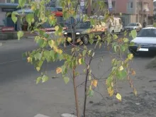 Мініатюра