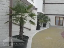 Мініатюра