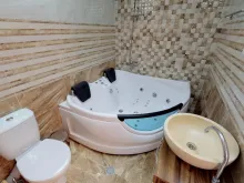 Мініатюра