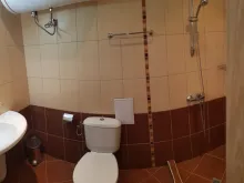 Мініатюра