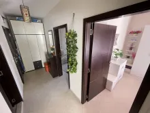 Мініатюра