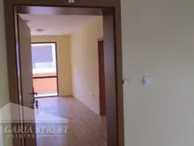 Мініатюра