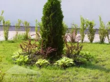 Мініатюра