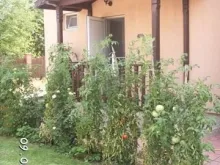 Мініатюра