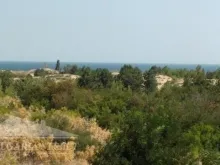 Мініатюра