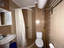 Мініатюра