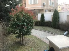 Мініатюра