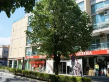Мініатюра