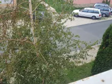 Мініатюра