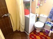 Мініатюра