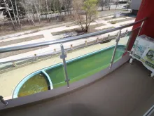 Мініатюра