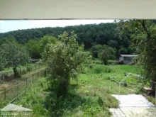 Мініатюра