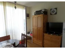 Мініатюра