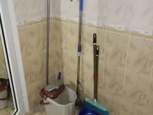 Мініатюра
