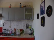 Мініатюра