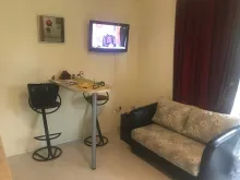Мініатюра