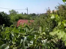 Мініатюра