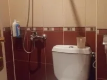 Мініатюра