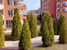 Мініатюра