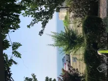 Мініатюра