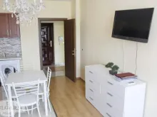 Мініатюра