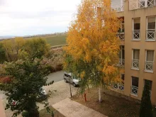 Мініатюра