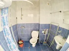 Мініатюра