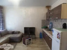 Мініатюра
