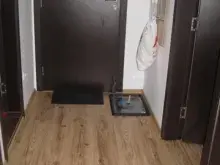 Мініатюра