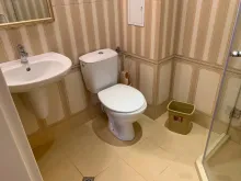 Мініатюра