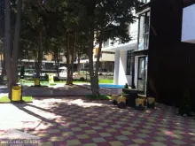 Мініатюра