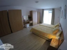 Мініатюра