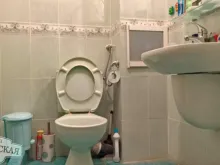 Мініатюра
