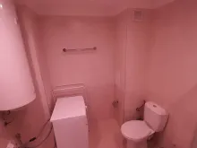 Мініатюра