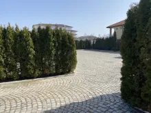 Мініатюра