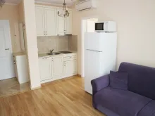 Мініатюра
