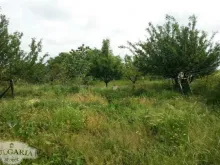 Мініатюра