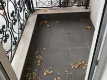 Мініатюра