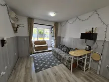 Мініатюра