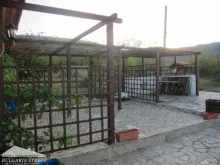 Мініатюра