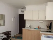 Мініатюра