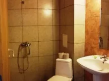 Мініатюра