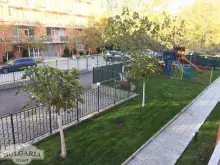 Мініатюра
